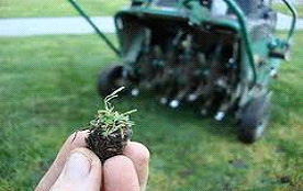 lawn aeration services utah lawn aeration services